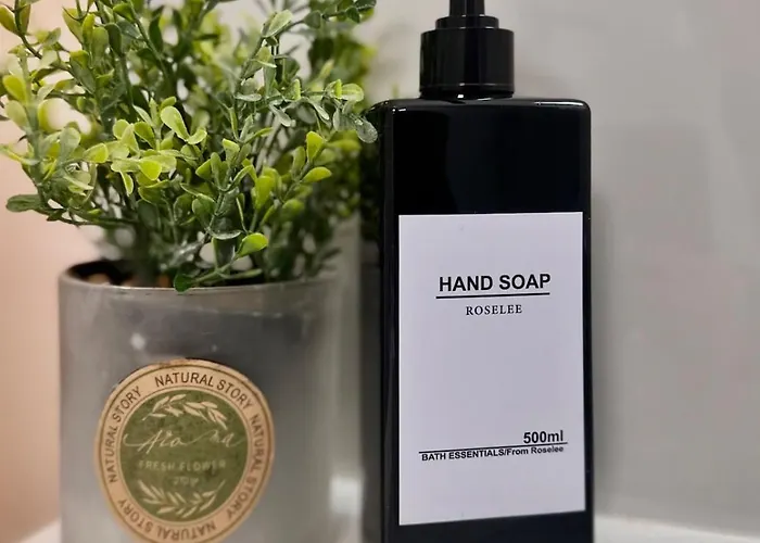 Evasion Balneo, Clim, Wifi, Netflix, Palais Apartment *